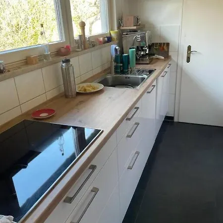 公寓 Haus Mit Grossem Garten 慕尼黑
